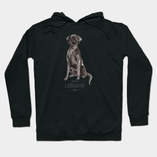 Black Labrador Hoodie